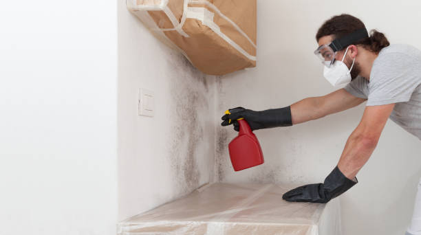 Professional Mold Remediation technician working in Bloxom, VA