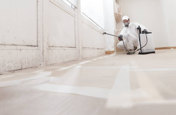 24/7 Emergency Mold Remediation experts in Bloxom, VA